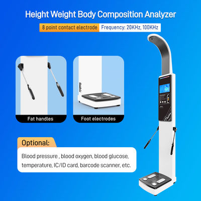 SH-V9F Gym Use 8 Electrodes Digital Weighing Scale Body Composition Analysis Machine