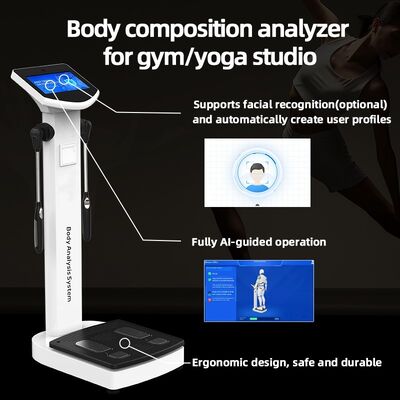 SH-10F Professional Body Composition Analyzer Machine