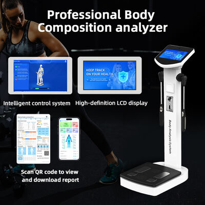 Popular Body Analysis Machine Comprehensive Analysis Body Status BMI Fat Machine