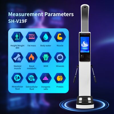 Hotsale Body Composition Analyzer for Gym and Home Use Analyzer Machine Bioelectrical Impedance with Thermal Printer