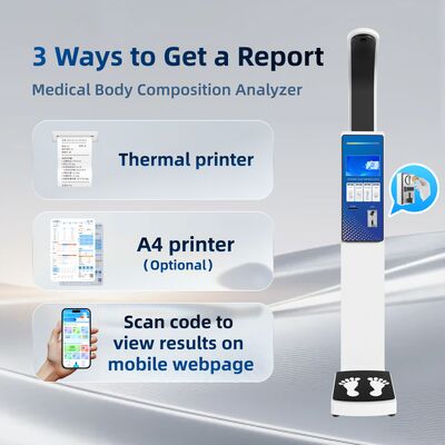 Commercial Outdoor Coin Operated Weighing Scale Body Composition Fat Scale Height and Weight Balance Operad OEM BMI