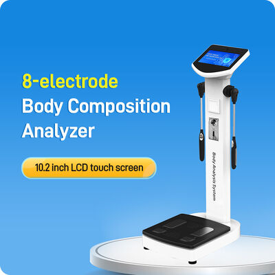 Máquina de análisis corporal inteligente SH-10F para gimnasio