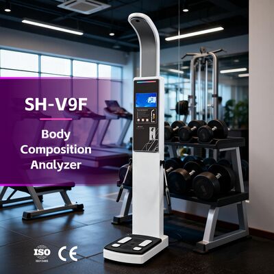 Analizador de composición corporal para gimnasio, escáner de grasa para IMC, grasa corporal y escaneo muscular, analizador corporal OEM