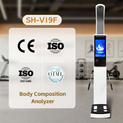 Instrumento inteligente de medición del cuerpo IMC Escala humana SH-V19F Analista de composición corporal